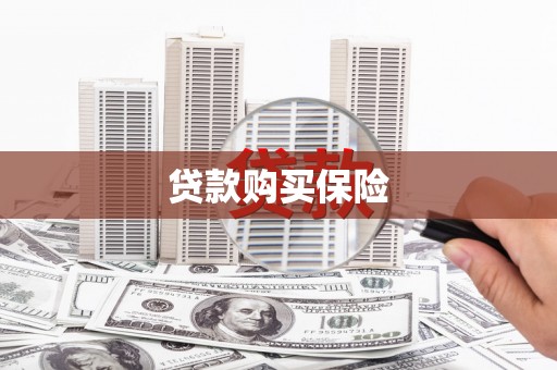 资溪贷款购买保险