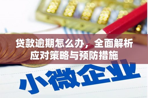 资溪贷款逾期怎么办，全面解析应对策略与预防措施