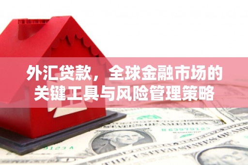 资溪外汇贷款，全球金融市场的关键工具与风险管理策略