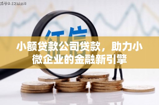 资溪小额贷款公司贷款，助力小微企业的金融新引擎