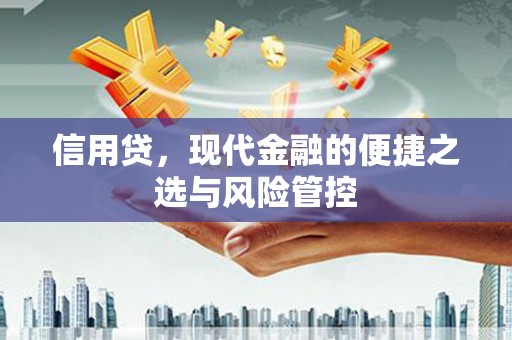 资溪信用贷，现代金融的便捷之选与风险管控