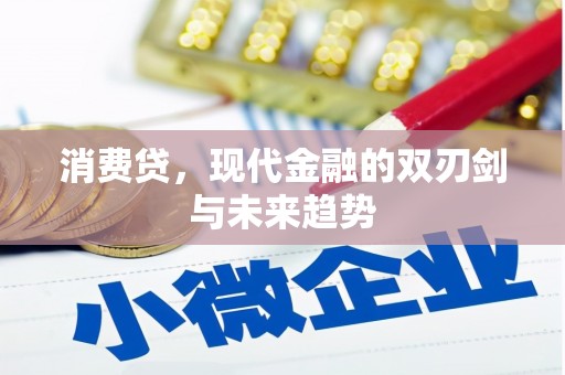 资溪消费贷，现代金融的双刃剑与未来趋势