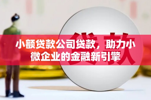 资溪小额贷款公司贷款，助力小微企业的金融新引擎