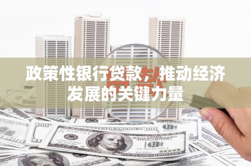 资溪政策性银行贷款，推动经济发展的关键力量