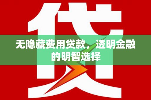 资溪无隐藏费用贷款，透明金融的明智选择