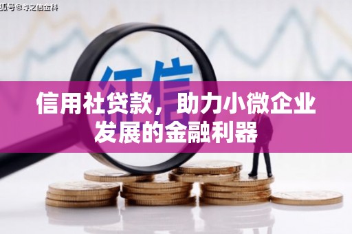 资溪信用社贷款，助力小微企业发展的金融利器