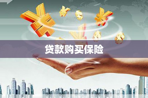 资溪贷款购买保险