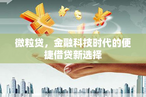 资溪微粒贷，金融科技时代的便捷借贷新选择