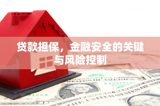 资溪贷款担保，金融安全的关键与风险控制