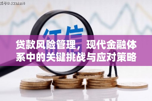 资溪贷款风险管理，现代金融体系中的关键挑战与应对策略