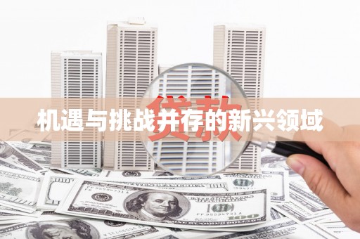 资溪机遇与挑战并存的新兴领域
