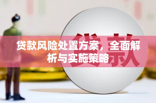 资溪贷款风险处置方案，全面解析与实施策略