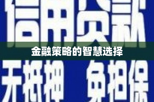 资溪金融策略的智慧选择