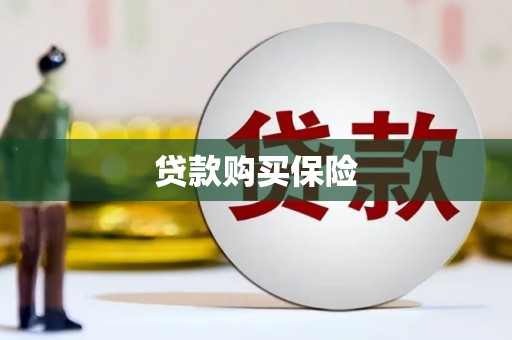 资溪贷款购买保险