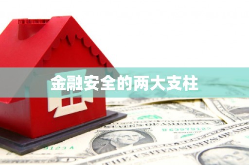 资溪金融安全的两大支柱