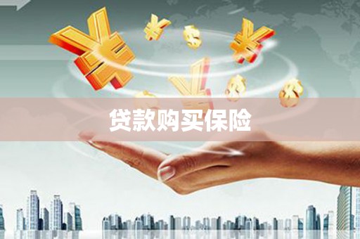 资溪贷款购买保险