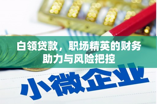 资溪白领贷款，职场精英的财务助力与风险把控