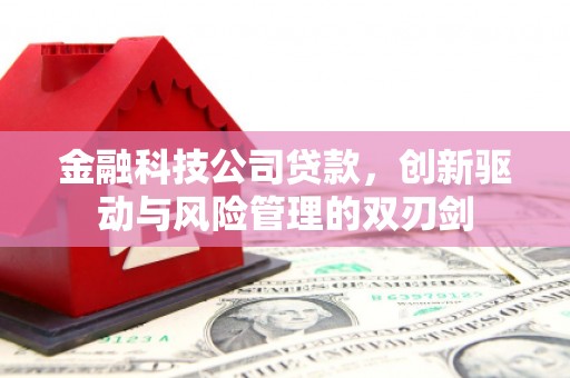 资溪金融科技公司贷款，创新驱动与风险管理的双刃剑